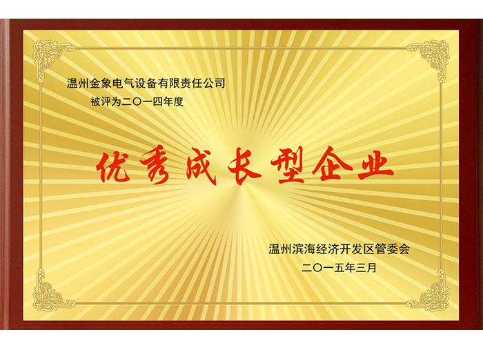 優(yōu)秀成長(cháng)型企業(yè)