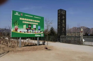 山東潔晶集團總裁、市人大代表林成彬建言日照茶產業提質增效